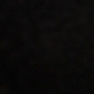 Meet your Posher, Ricky